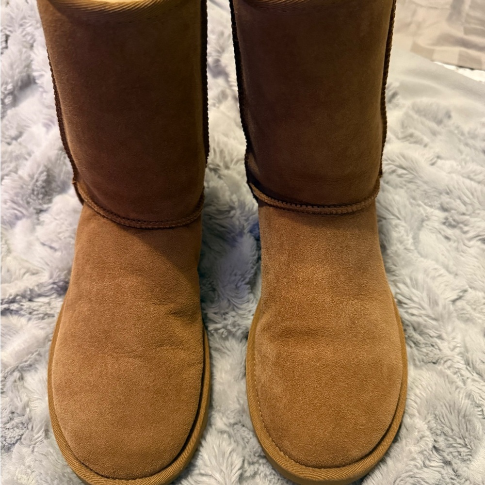 UGG Chestnut Suede Winter Boots